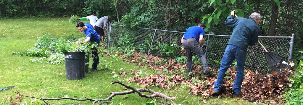 Volunteer Clean-up